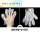 白色透明手套(5包)