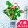 A级红掌-土培玻璃盆(4-5花)