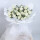 33朵白玫瑰花束——素雅