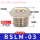 BSLM-03 (3分)