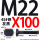 M22X100【45#钢T型】