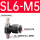 黑SL6-M5