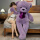 紫色米乐大熊