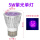 紫光 5W 单灯泡