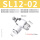 精品白SL12-02(10个)