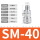 SM40（10个装）