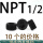 NPT1/2 (10个)