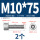 M10*75(2个)