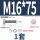 M16*75(1套)