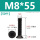 M8*55(50个)