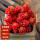 红色浆果 群生4-6cm