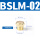 BSLM-02
