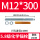 M12*300(5.8级160套带药剂)