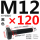 M12*120mm
