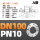 DN100-PN10-(A管)-1个