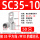 SC35-10【50只装】
