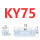 KY75KY75