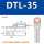 DTL-35(厂标)20只