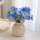 白色花瓶+蓝色洋甘菊(一束6支)