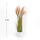 天然芦苇原色1.6米+白方盆