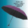 紫色双人伞-【10骨素色】105cm