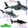 噬人鲨+小鲸鲨+灰色锤头鲨