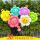 50个蜜蜂雏菊系列夹片气球