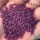 紫薯米  2 斤