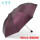 紫红黑胶双人伞-直径110厘米