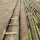 2.5米竹梯(清漆防裂耐用)