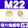 M22 (1粒)