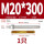 M20*300(304)(1个)
