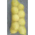 直黄加密40*70柚子20斤