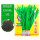 紫根韭菜种子1包 原厂包装、包发
