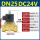 DN251寸DC24V