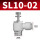 SL10-02