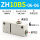 ZH10BS-06-06插管型