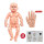 婴儿模型+针灸手 (餸穴位图)