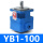 YB1-100