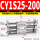 CY1S25-200