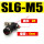 黑-SL6-M5