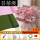 15粉红康乃馨带包装纸