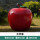 大苹果/高105cm