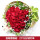 33朵红玫瑰花束-心形款