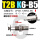 不可回转 ZP3B-T2BK6-B5