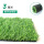 30mm春绿地毯草