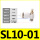 SL10-01