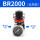 BR2000(RLP牌)