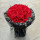 33朵红玫瑰黑纱款