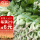 水东芥菜种子 100gx2包